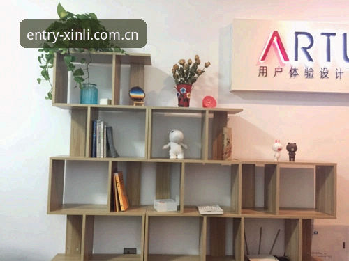 资深用户分享：如何优化新利体育网页体验的实战心得